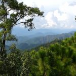 メーホンソン山岳民族の村へのトレッキング