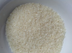 タイで栽培されているササニシキ米：接写
