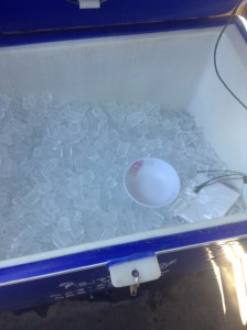 氷販売用のクーラーボックス