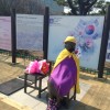 慰安婦像が設置されていたソウルの公園：山湖公園（イルサン・レイク・パーク）