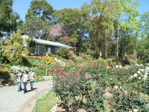 隣接する植物園