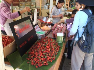 メオ・トライバル・ビレッジで販売されている、山岳民族の人たちが栽培したイチゴ