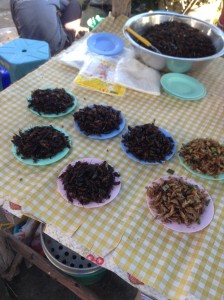 村の市で販売されている食用昆虫