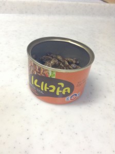 韓国カイコの缶詰